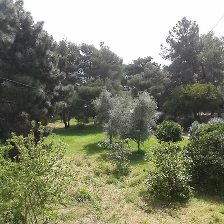 Domaine Amandiers - Apartment *
