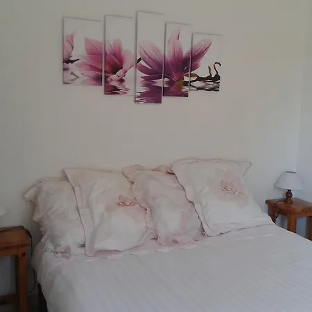 Domaine Amandiers - Apartment Porticcio (Corsica)